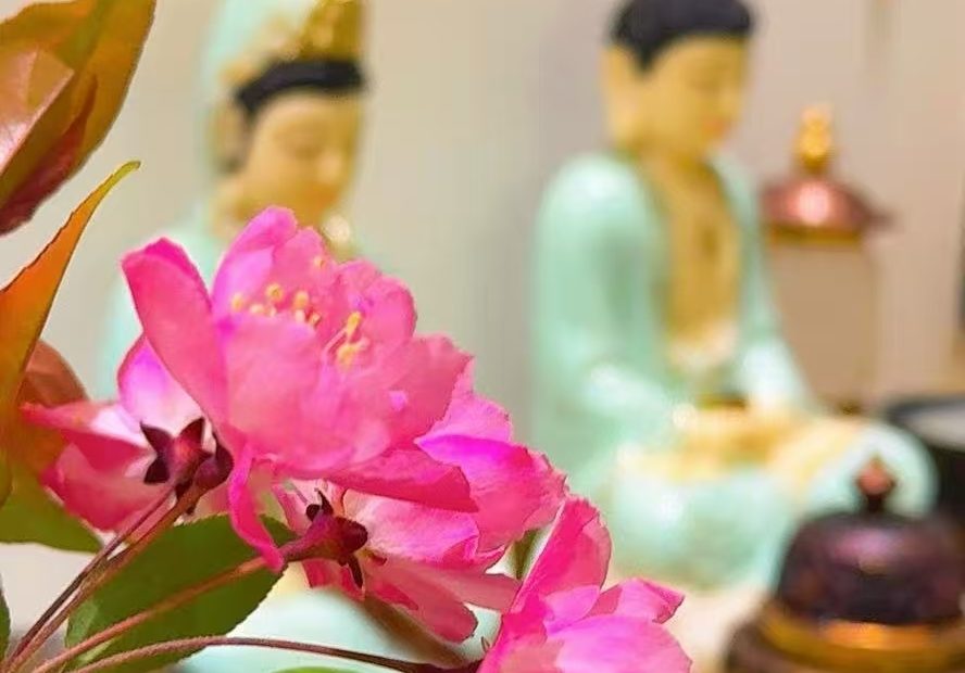 摇旗优选www.yaoqizi.com