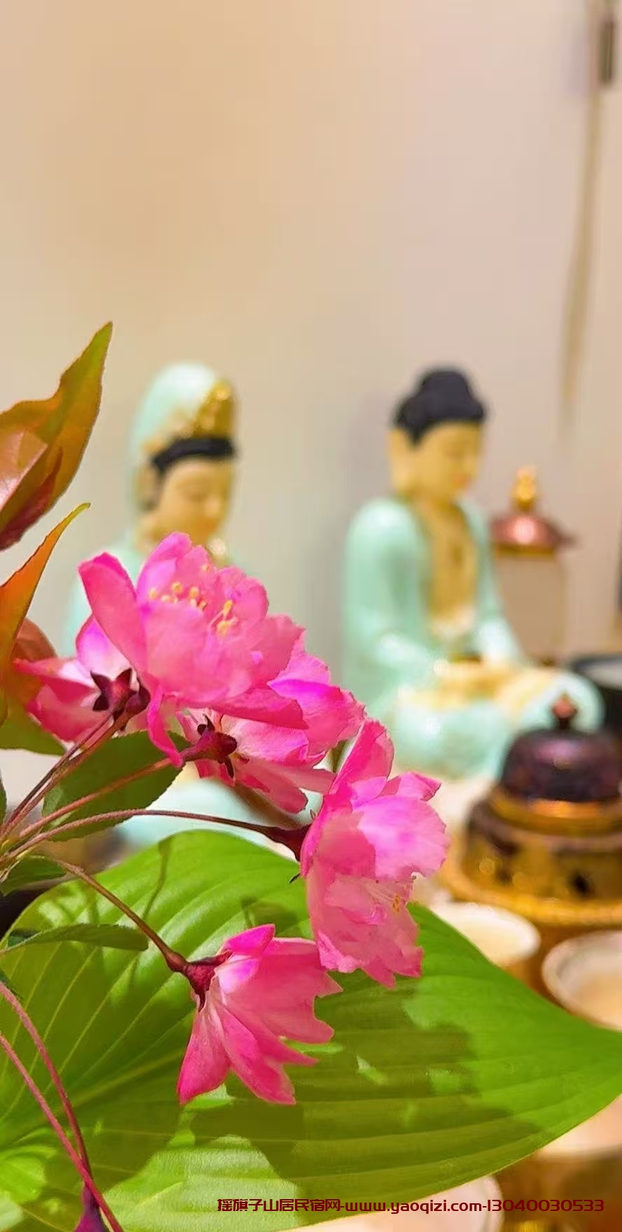 摇旗优选www.yaoqizi.com